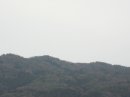 画像: ずっと薄曇り