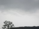 画像: 雨はシトシトと