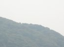 画像: 曇り。