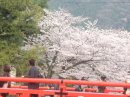 画像: 事務所から東に行くと