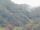 画像: このあと夜に
