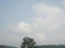 画像: 薄曇りで、