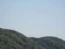 画像: 快晴です。