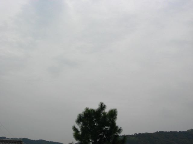 画像: ずっと雨でしたね。。