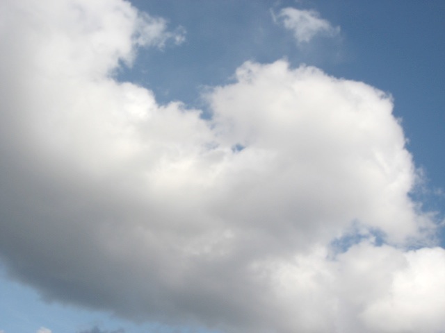 画像: 今日も晴れました。