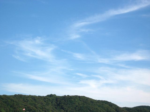 画像: 暑さが