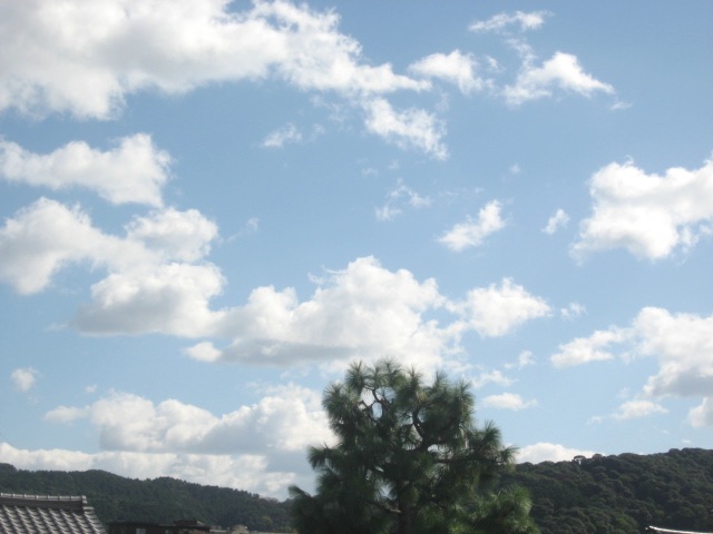 画像: 綿のような雲が
