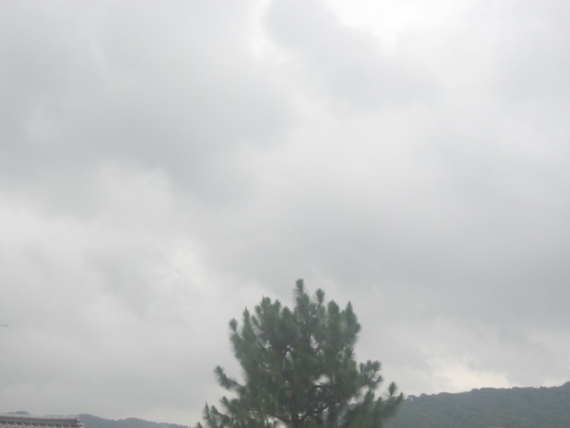 画像: またしても、雨。