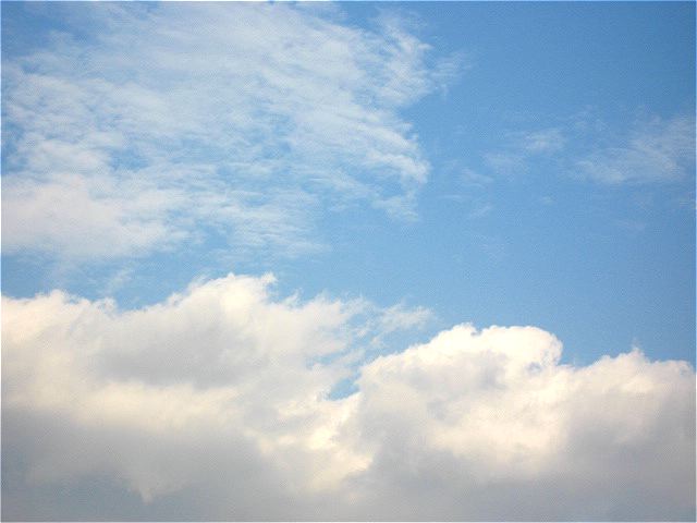画像: 今日もいいお天気