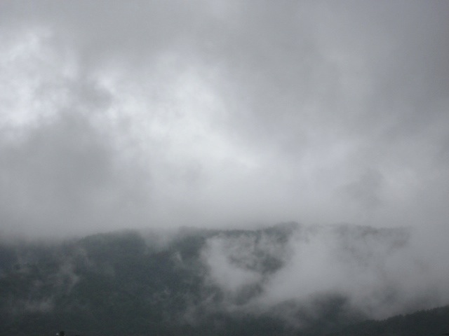 画像: 今日も雨、