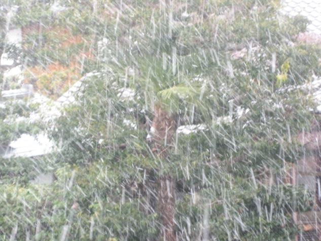 画像: 雪が降って