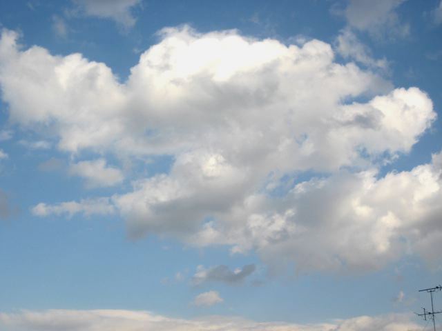 画像: 朝は寒かったのですが