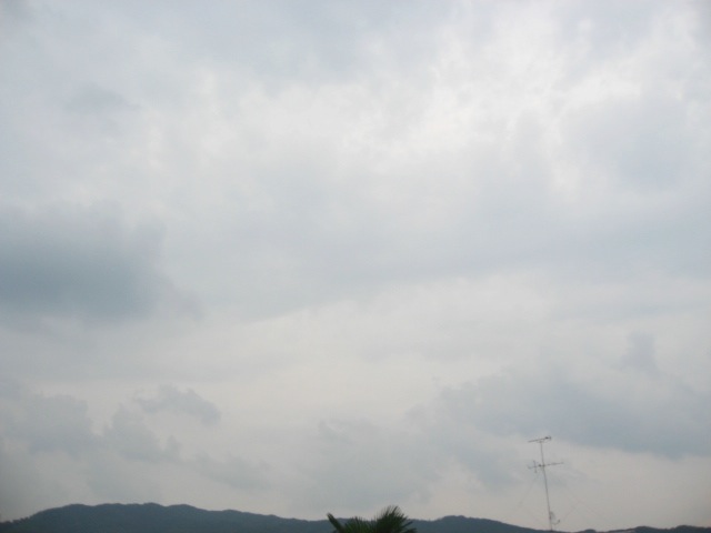 画像: 雲り空で