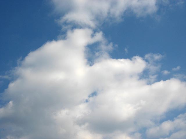 画像: とってもいいお天気。