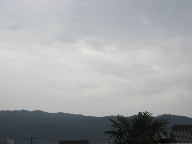 画像: 雨でした。