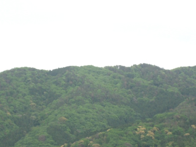 画像: 薄曇りでしたが
