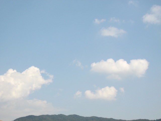画像: 魚が泳ぐように