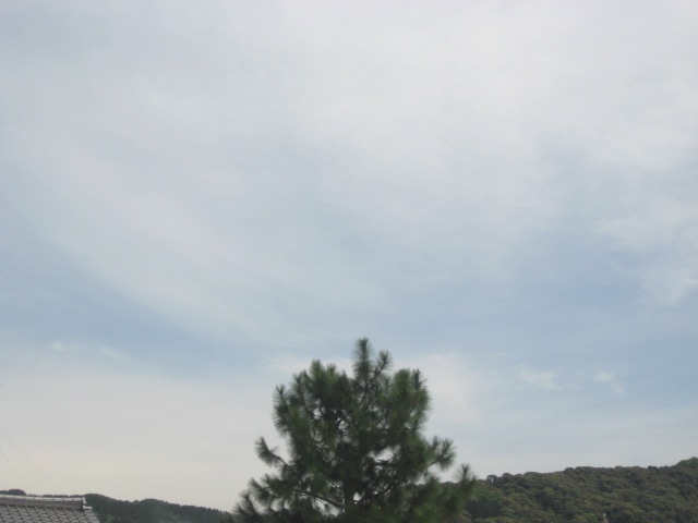 画像: 曇ってきています。。