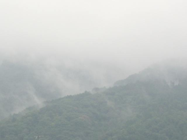 画像: 降ってあがって
