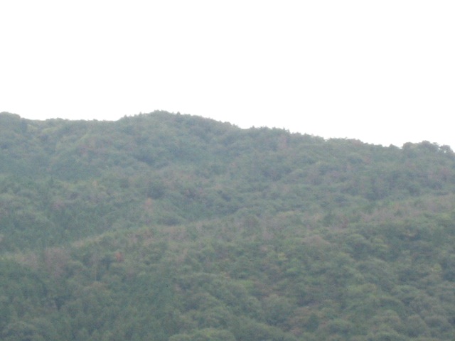 画像: 明るく見えますが