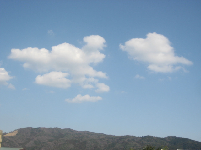 画像: いいお天気というだけで