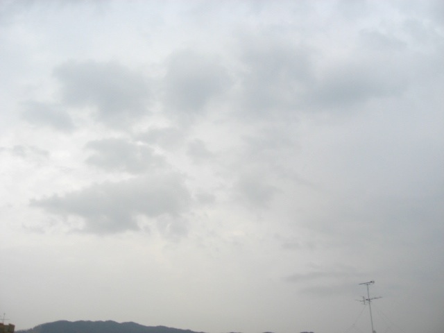 画像: 春一番は