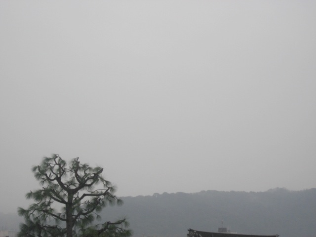 画像: 雨の一日