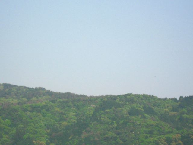 画像: 気温の高い日でした。