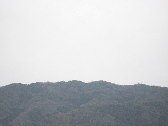 画像: 写真を撮っている時は