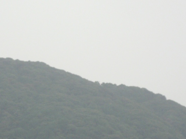 画像: 雨が小降りになっても