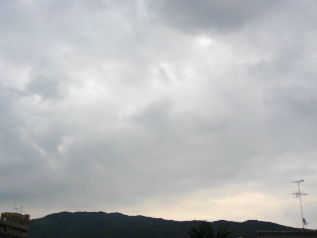 画像: いっぱい降りました。