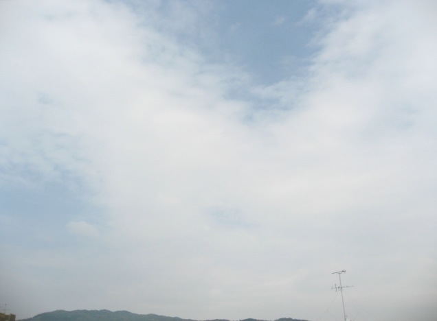 画像: 大きな大きな