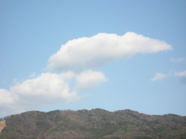 画像: すっきりと
