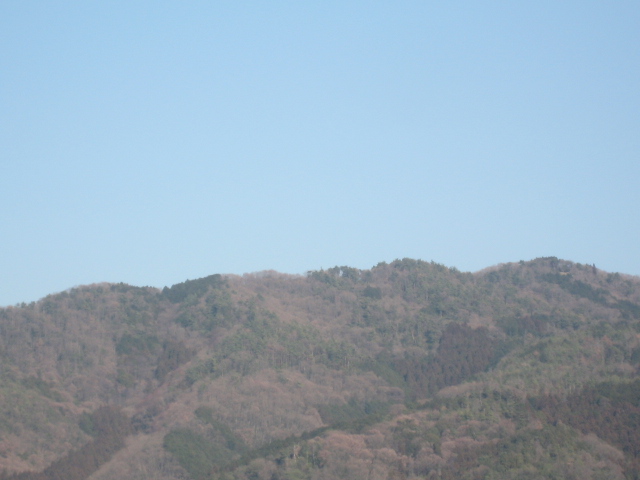 画像: 春の陽気