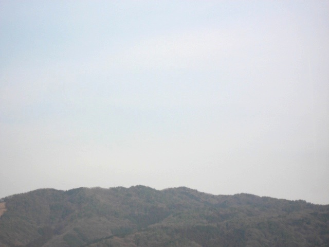 画像: 今日も晴れて