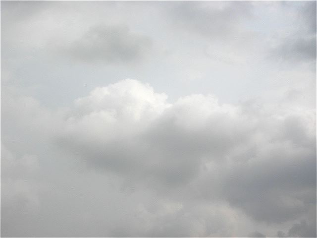 画像: 黄砂が飛んだせいで