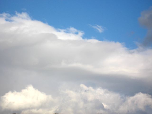 画像: 今日はダイナミックな