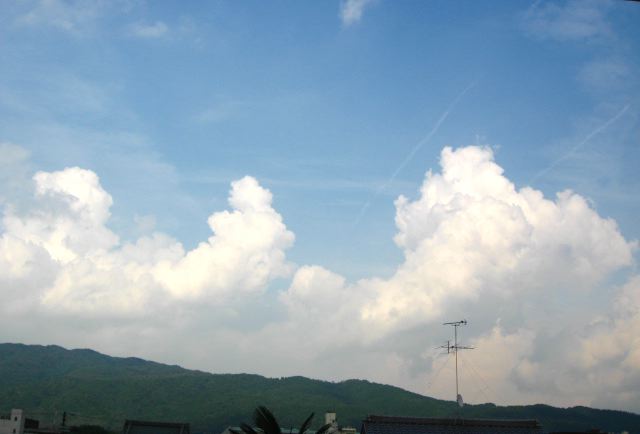 画像: すごい雨でしたね〜。