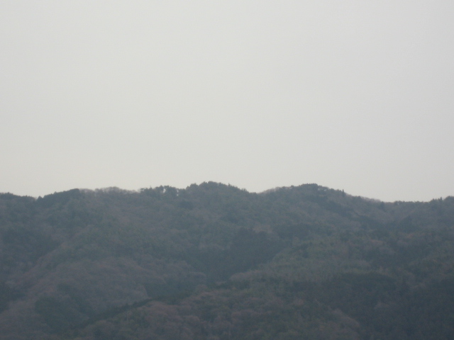 画像: 曇りですが、