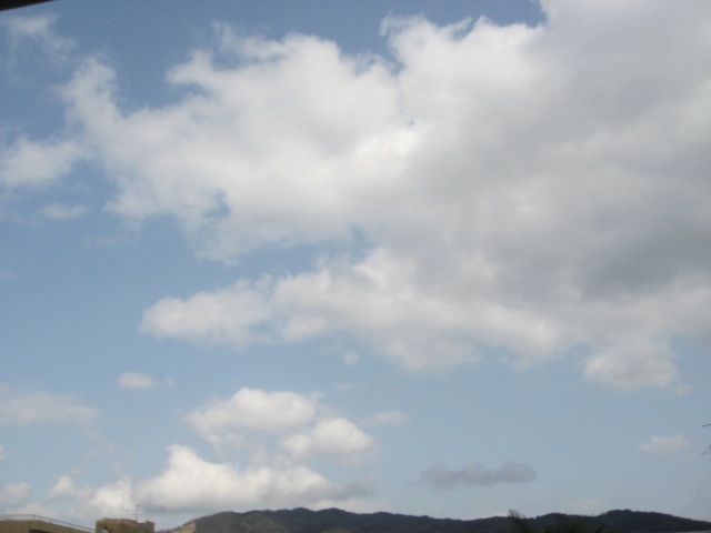 画像: なかなかコートはしまえない。。