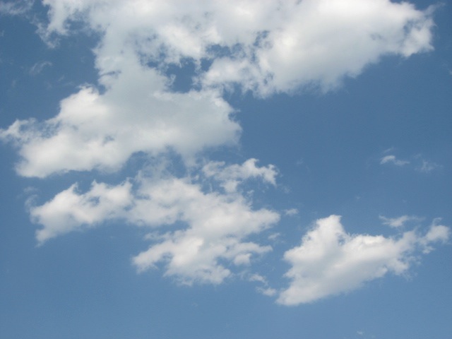 画像: 今日も良いお天気です。