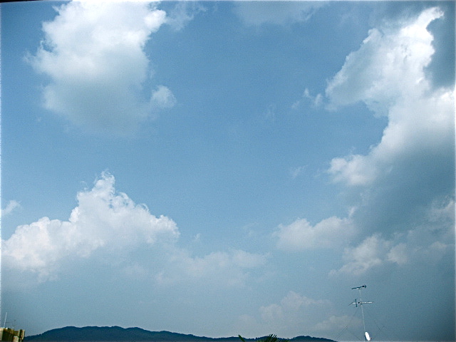 画像: 京都の気温が