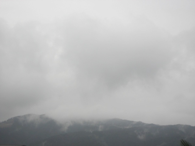 画像: 雨でした。寒い。