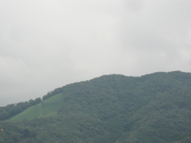 画像: 雨ですが