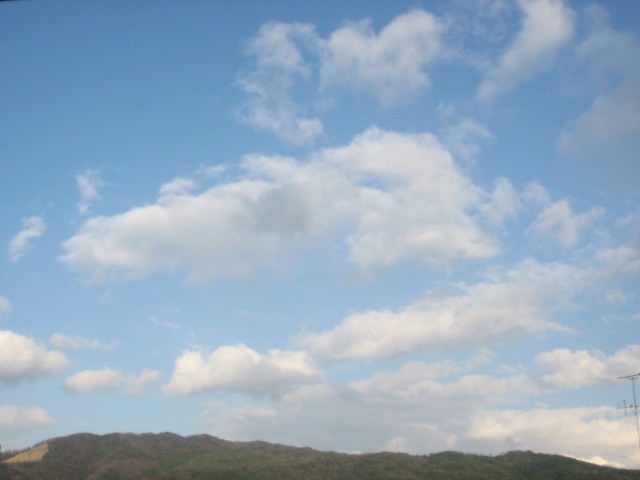 画像: 強風のため