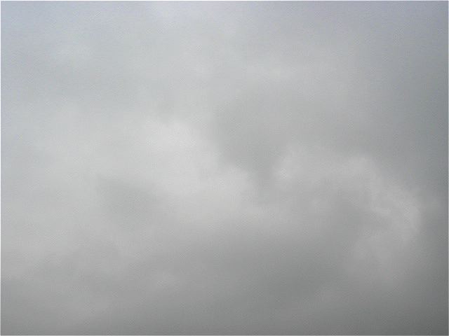 画像: 今日は雨でした。