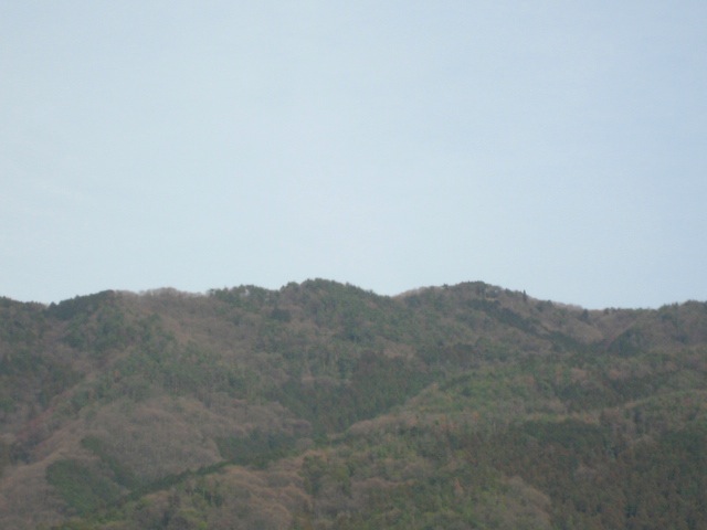 画像: いいお天気で