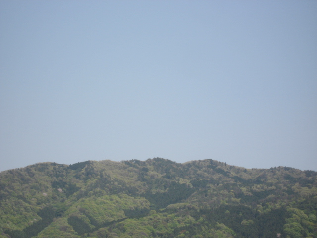 画像: いいお天気。