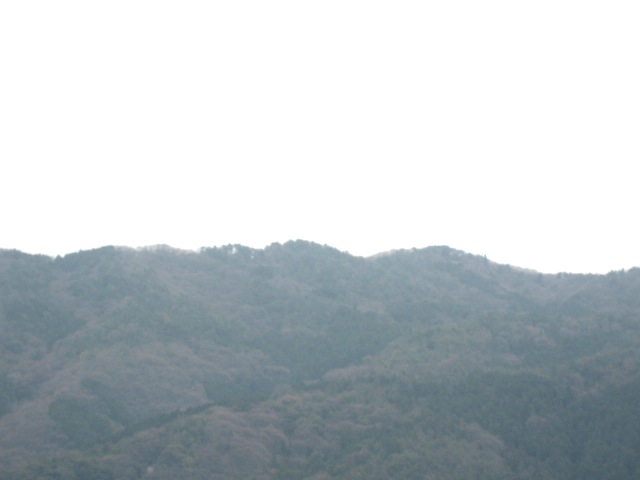 画像: 暖かくなってきました。