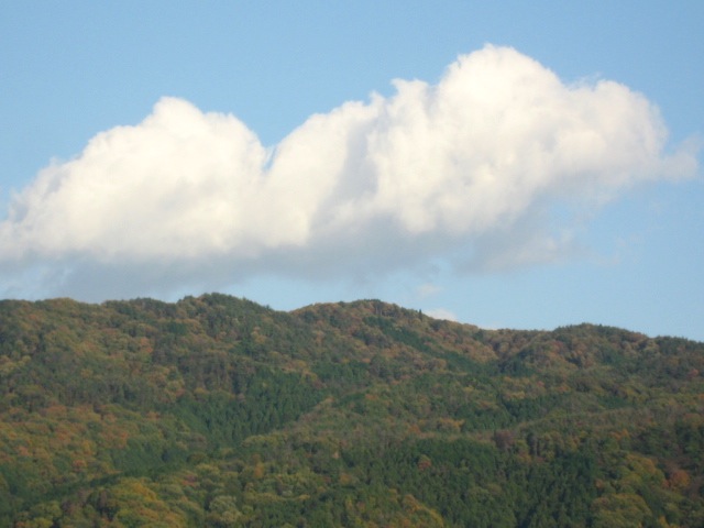 画像: さわやかな気候。